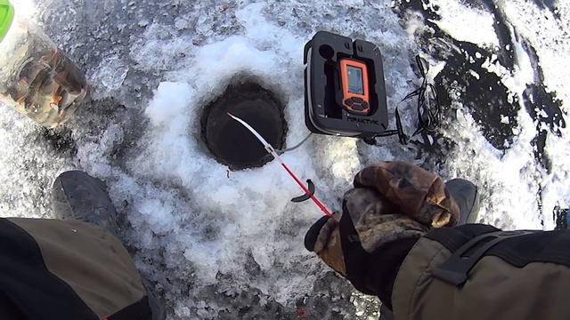 ЭХОЛОТ СОШЕЛ С УМА! СТОЛЬКО РЫБЫ! РЫБАЛКА СО ЛЬДА. смотреть онлайн