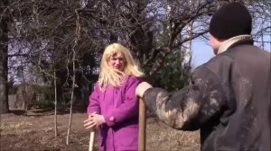 Дачный сезон