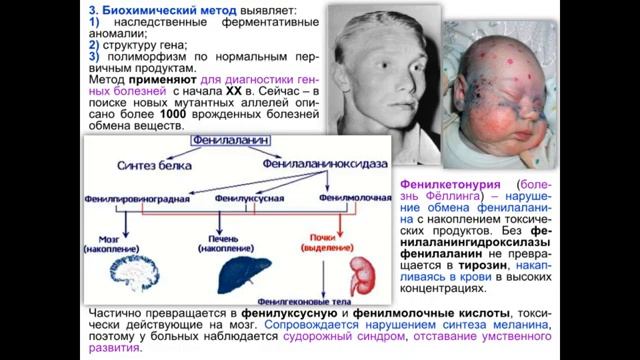 Лекция 10 по Биологии " Генетика Человека. Методы изучение наследственности человека " смотреть онлайн
