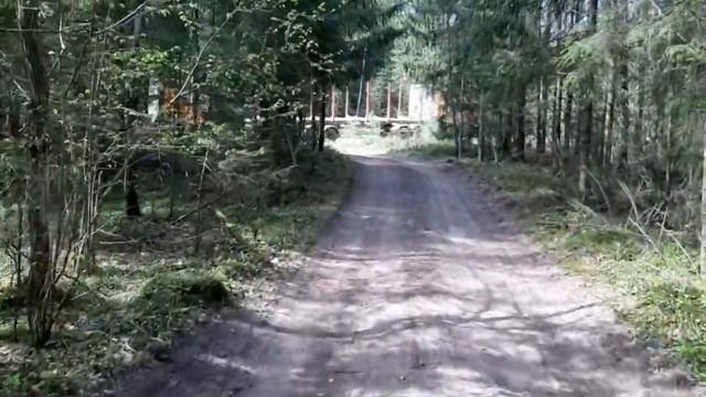Собираем лес по всему району). Нашел продавца для компании) смотреть онлайн