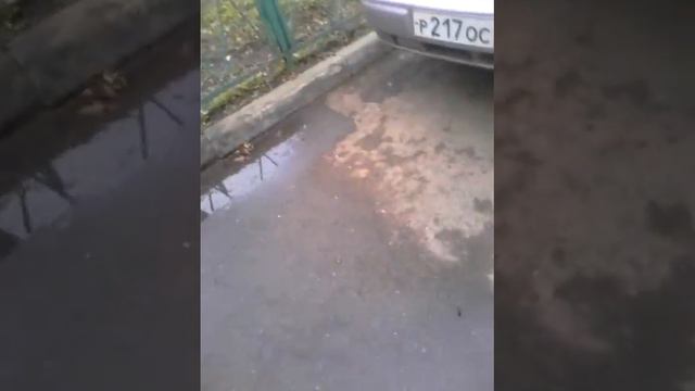 Поход за хлебом ч 1 смотреть онлайн