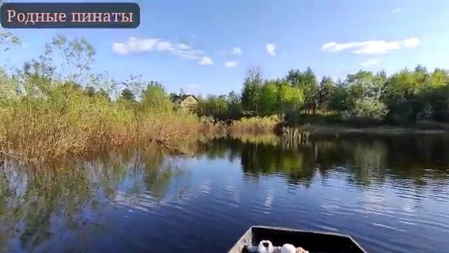 В поисках Усть-Пожегодского речного монстра сезон 2023 серия 1? кардио-тренировка?♂️ смотреть онлайн