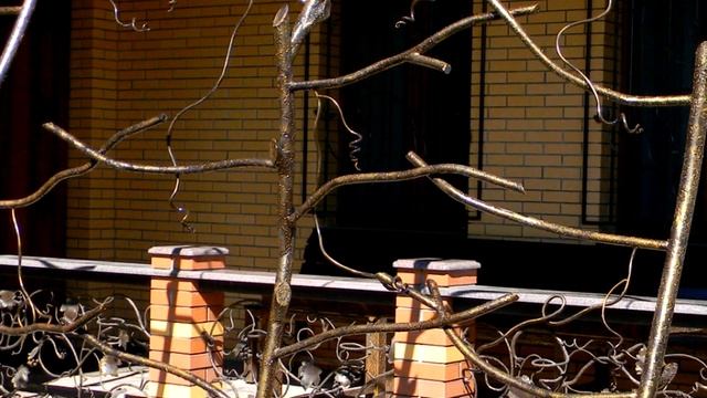 Красивая шпалера для винограда возле дома , стойки для винограда и вьющихся растений смотреть онлайн