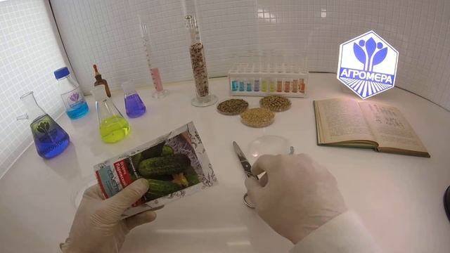 Огурец Парижский корнишон. Семетра-Поиск смотреть онлайн