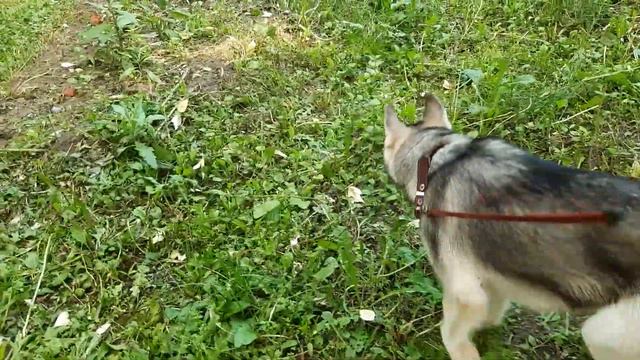 Нас ждут великие дела... смотреть онлайн