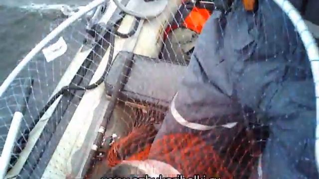 Прыжки ЛОСОСЯ 6.5 кг. Рыбалка в Карелии, Онега.. смотреть онлайн