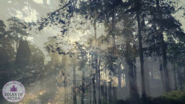 Mystery Forest Dark, Mystical Forest Nature Sounds and Music with Flute, Lute, Choir and Percussion