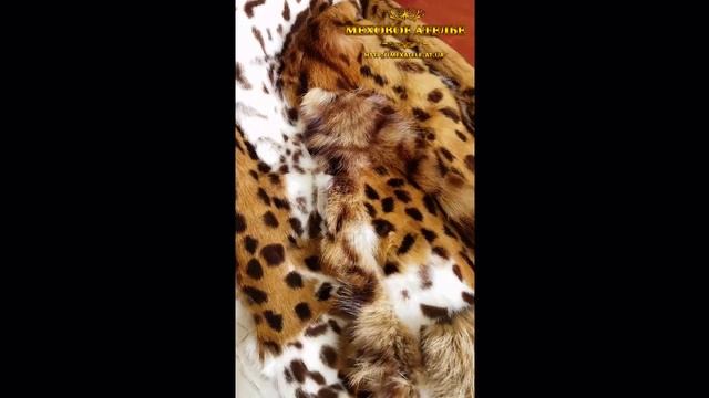 Меховое Ателье Днепр. Работа ателье меха "за кадром". смотреть онлайн