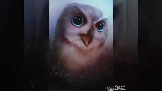 Какая ты сова по знакам задиака? смотреть онлайн