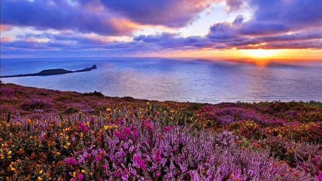 Здесь на Земле я, всего лишь странник смотреть онлайн