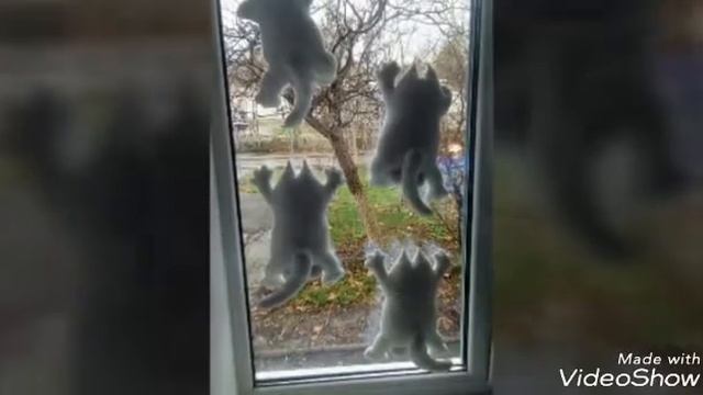 Мое увлечение) смотреть онлайн