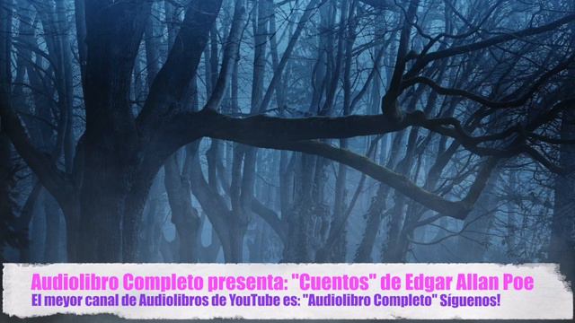 Relatos De Edgar Allan Poe: 