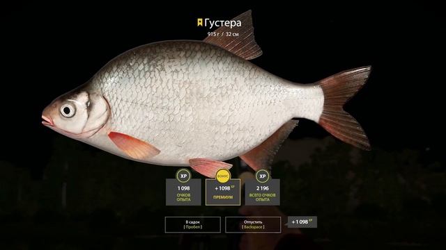 ✮ Волхов ✮ Густера ✮ смотреть онлайн