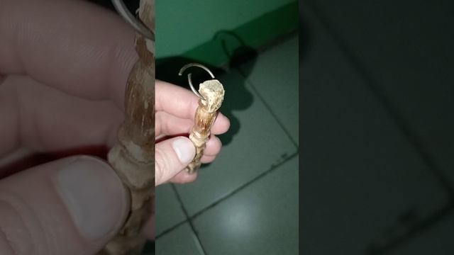 УГАДАЙ! ЧТО ЭТО? 🤔