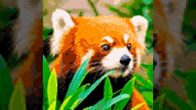 Color By Number: Animals!!