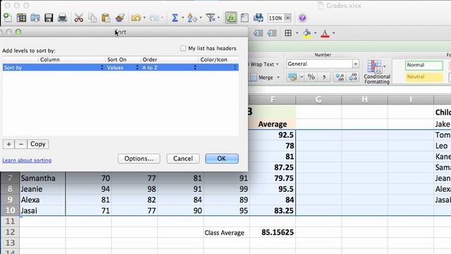 How to Custom Sort on Excel : Using Microsoft Excel смотреть онлайн