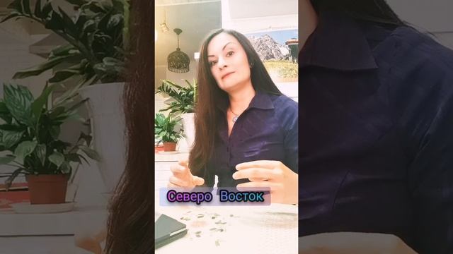 Васту шастра для дома. Северо Восток. смотреть онлайн