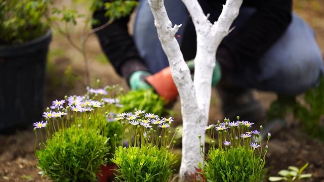 Delicious Beef Cutlets In Big Pan. Easy And Satisfying Dinner Recipe.