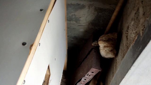 Инкубатор для маток своими руками смотреть онлайн