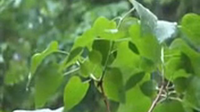 Азан смотреть онлайн