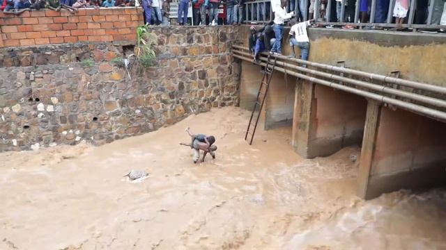 How i saved the boy from the bridge flooding 😳 смотреть онлайн
