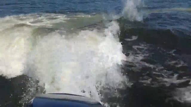 Cobra 2050ob под Evinrude 225