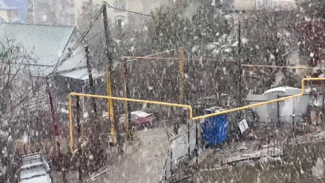 Тропический снег в Сочи / Snowstorm in Sochi смотреть онлайн