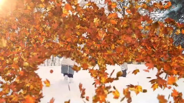 Техника" Бегущие цифры" смотреть онлайн