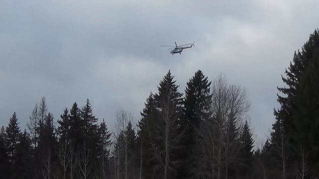 В лес 4 ноября. 2 часть смотреть онлайн