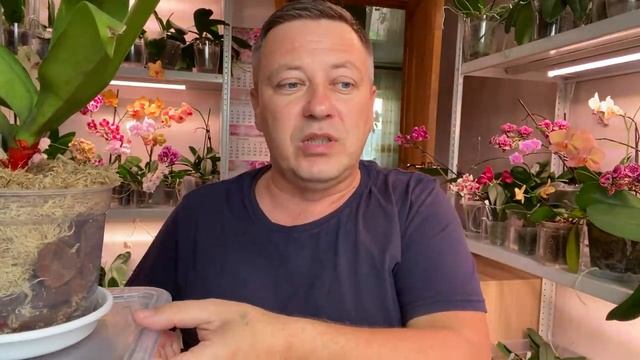 от ОРХИДЕЙ НЕ ВЫКИДЫВАЙТЕ СТАРЫЕ горшки и про ЗАКЛЕИТЬ ДЫРУ у орхидеи смотреть онлайн