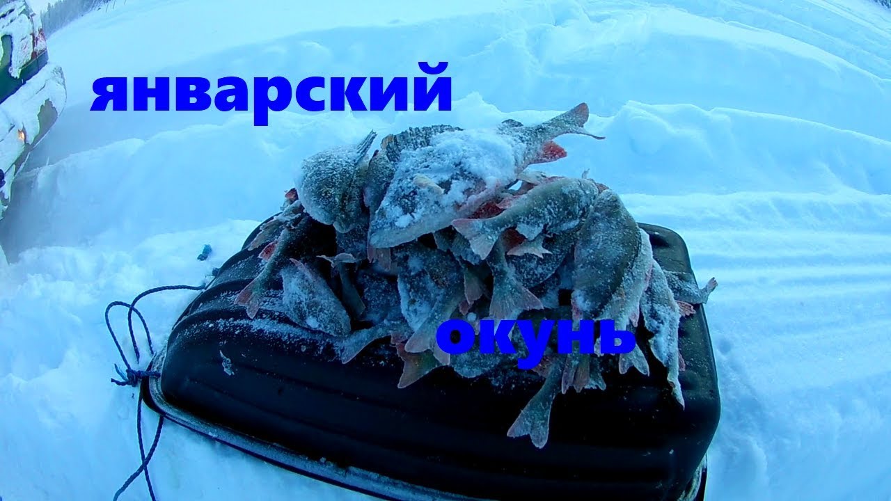 Рыбалка.Январский Окунь..mp4 смотреть онлайн