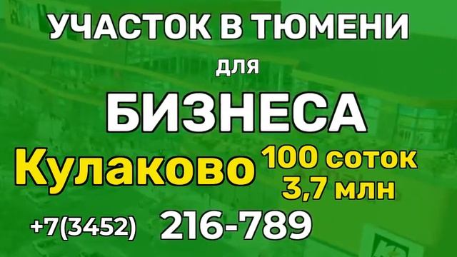 Авито Купить бизнес в Тюмени ХМАО смотреть онлайн