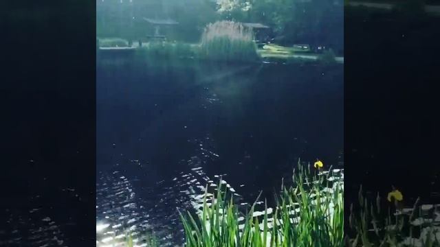 Ronneby , sweden смотреть онлайн