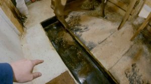 Коровник своими руками - организация, схема и размеры