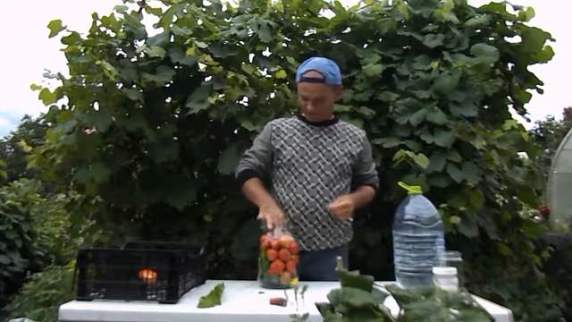 Соленые (квашеные) помидоры смотреть онлайн