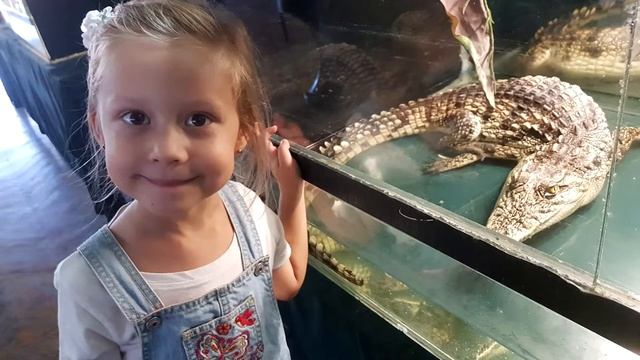 А вам слабо? Мадагаскарский таракан! смотреть онлайн