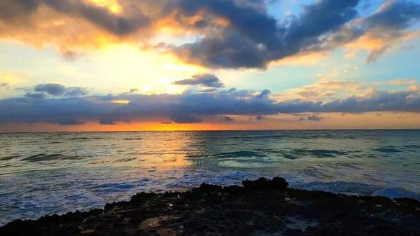 Marcus Bona - Ocean Flavor