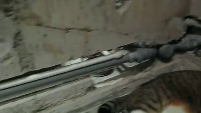 #Скрытая разводка в ванной 5.AVI смотреть онлайн