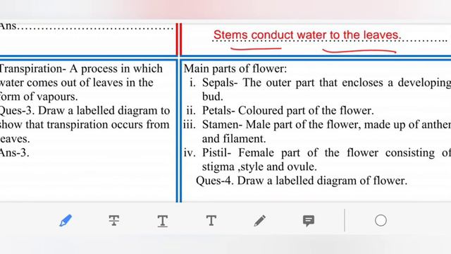 DOE DELHI WORKSHEET 35 CLASS 6 SCIENC ENGLISH MEDIUM FRIDAY 19 FEBRUARY 2021 смотреть онлайн