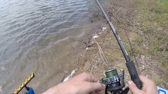 Ловля карася весной на фидер