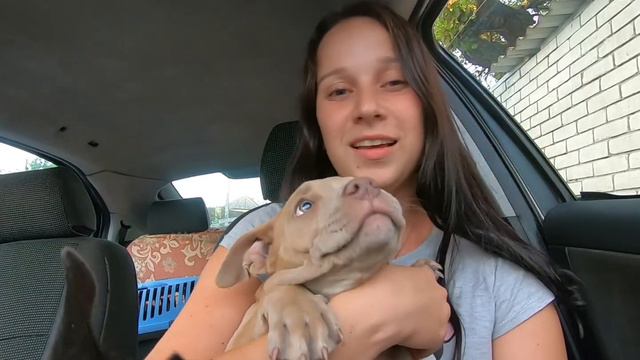 🐕🔥Новая собака в питомнике. Кто это?🐶 Что за новая порода❓