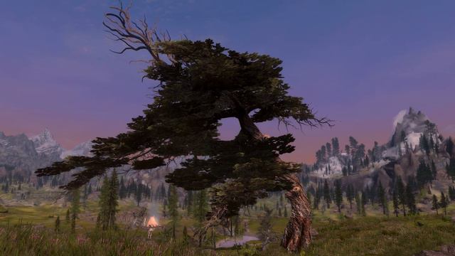 Bent Pines branch wind animations смотреть онлайн