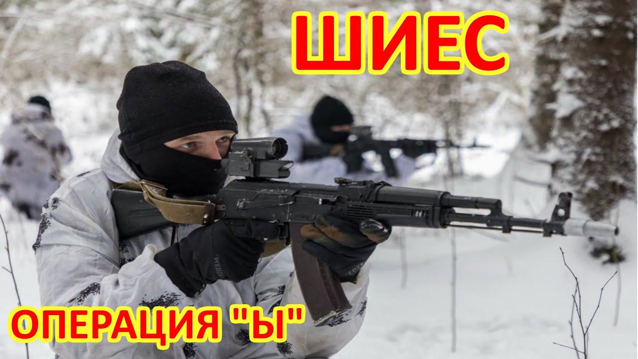 Поимка чёрных собирателей валежника. Спец. операция уголовного розыска. смотреть онлайн