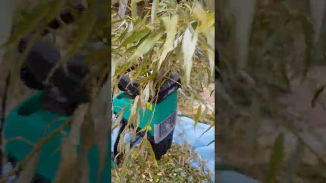 Садовый измельчитель электрический CMI C-ELH 2500 смотреть онлайн