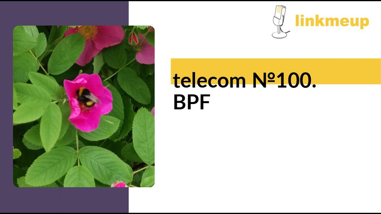 telecom №100. BPF смотреть онлайн