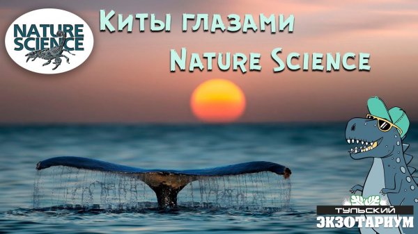 Киты глазами Nature Science