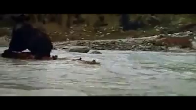 Union Is The Strength