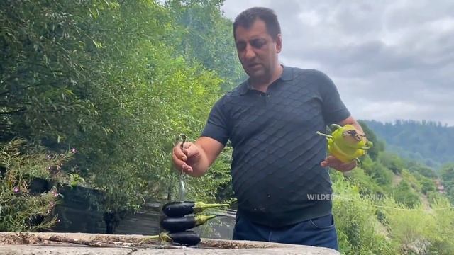 BEST SHISH KABOB RECIPE | VEGETABLES AND LAMB BBQ KEBAB | WILDERNESS COOKING KABOBS RECIPES