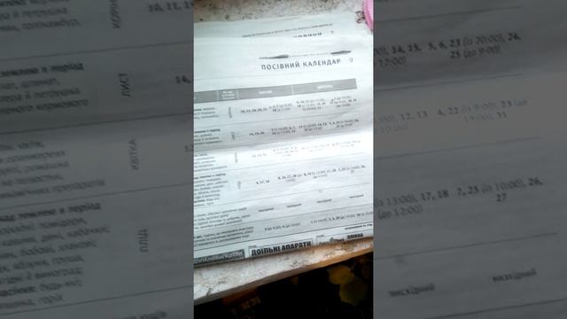 Коли сіяти перець, томати, огірки на розсаду в березні 2021 по місячному календарю