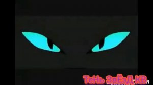 Клип коты воители бич молодая кровь